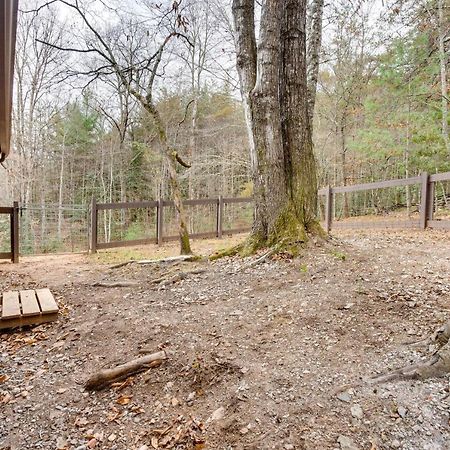 Peaceful Warne Cabin Fenced Yard And Screened Porch Brasstown Eksteriør bilde