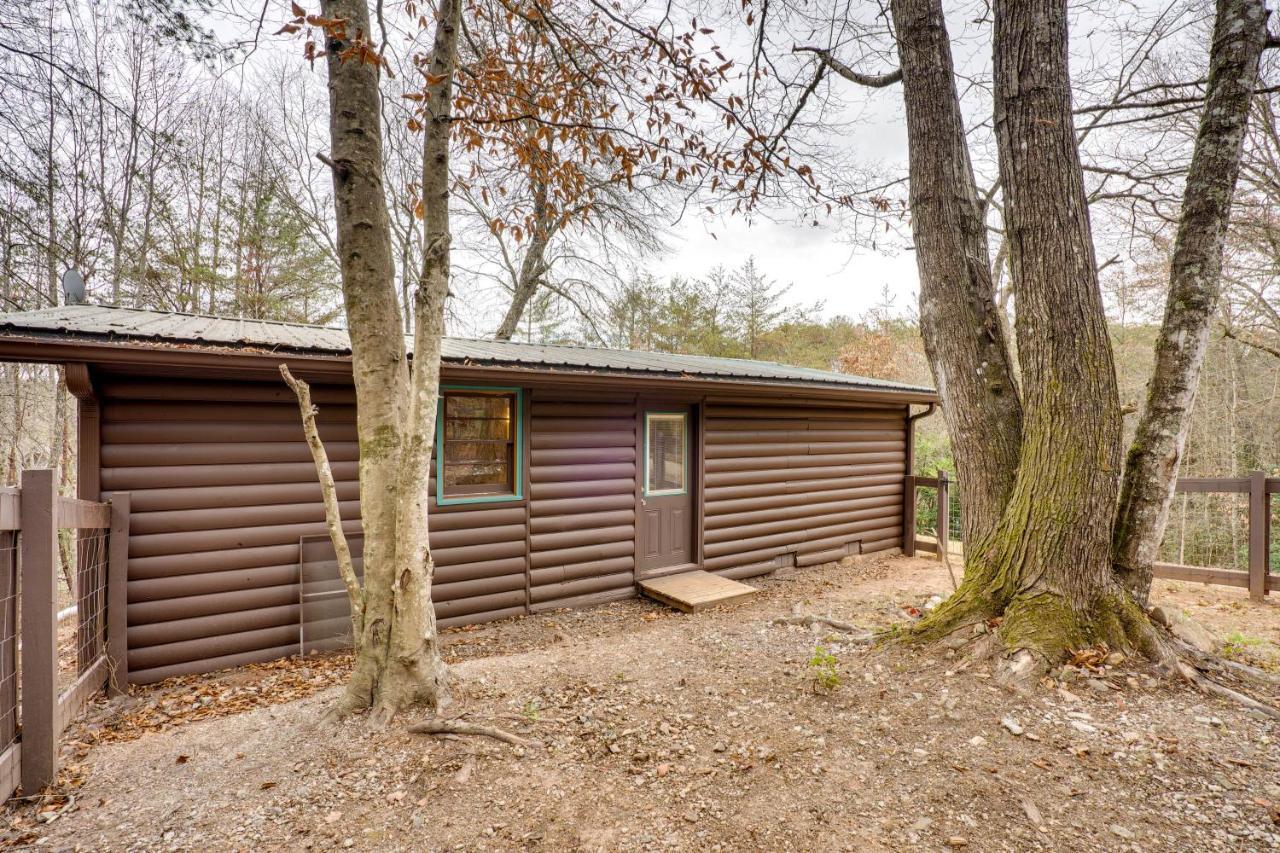 Peaceful Warne Cabin Fenced Yard And Screened Porch Brasstown Eksteriør bilde