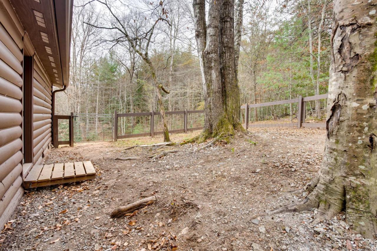 Peaceful Warne Cabin Fenced Yard And Screened Porch Brasstown Eksteriør bilde